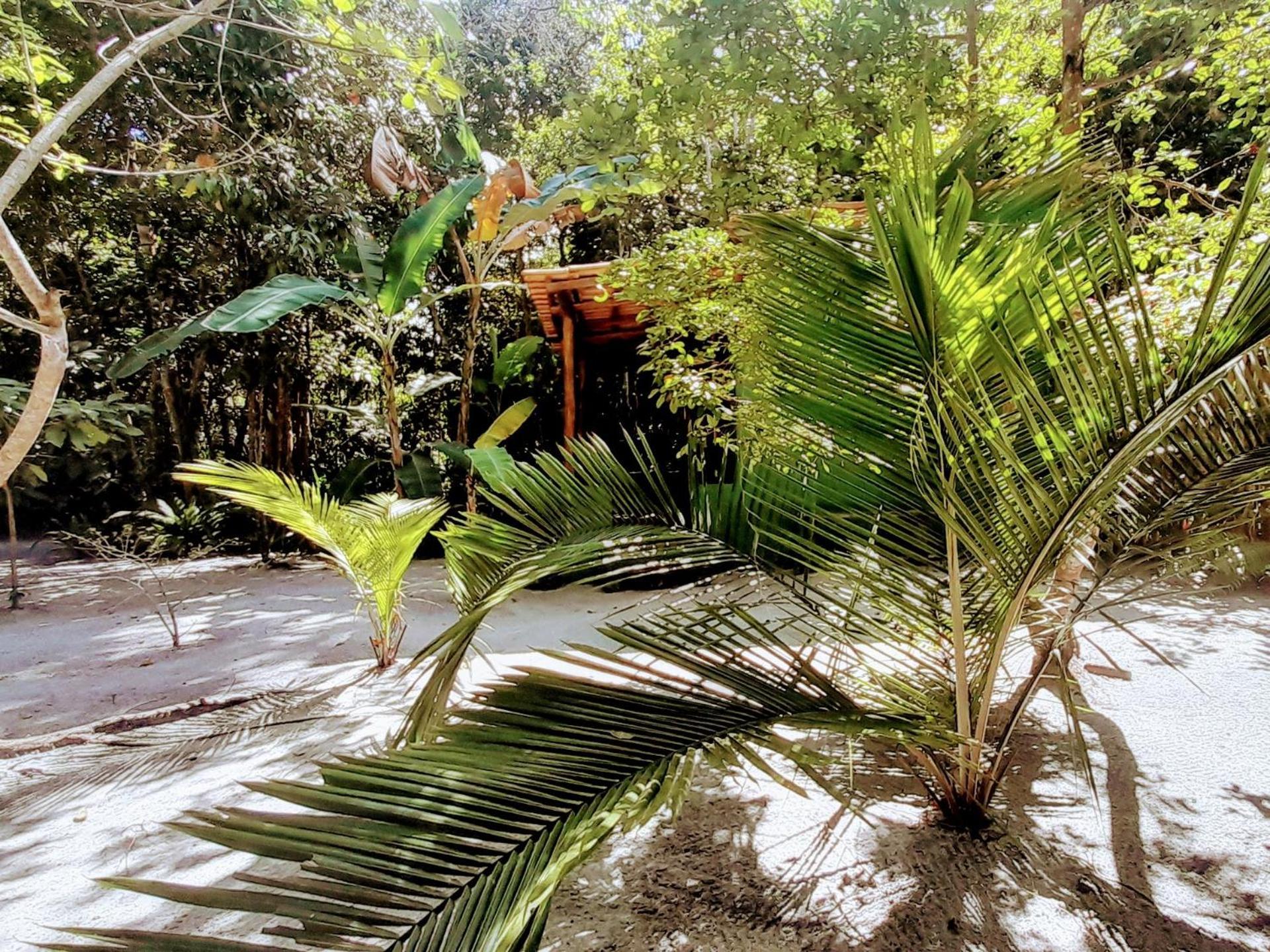 Chales Guigo-Cumuruxatiba, Sossego E Privacidade Exterior photo