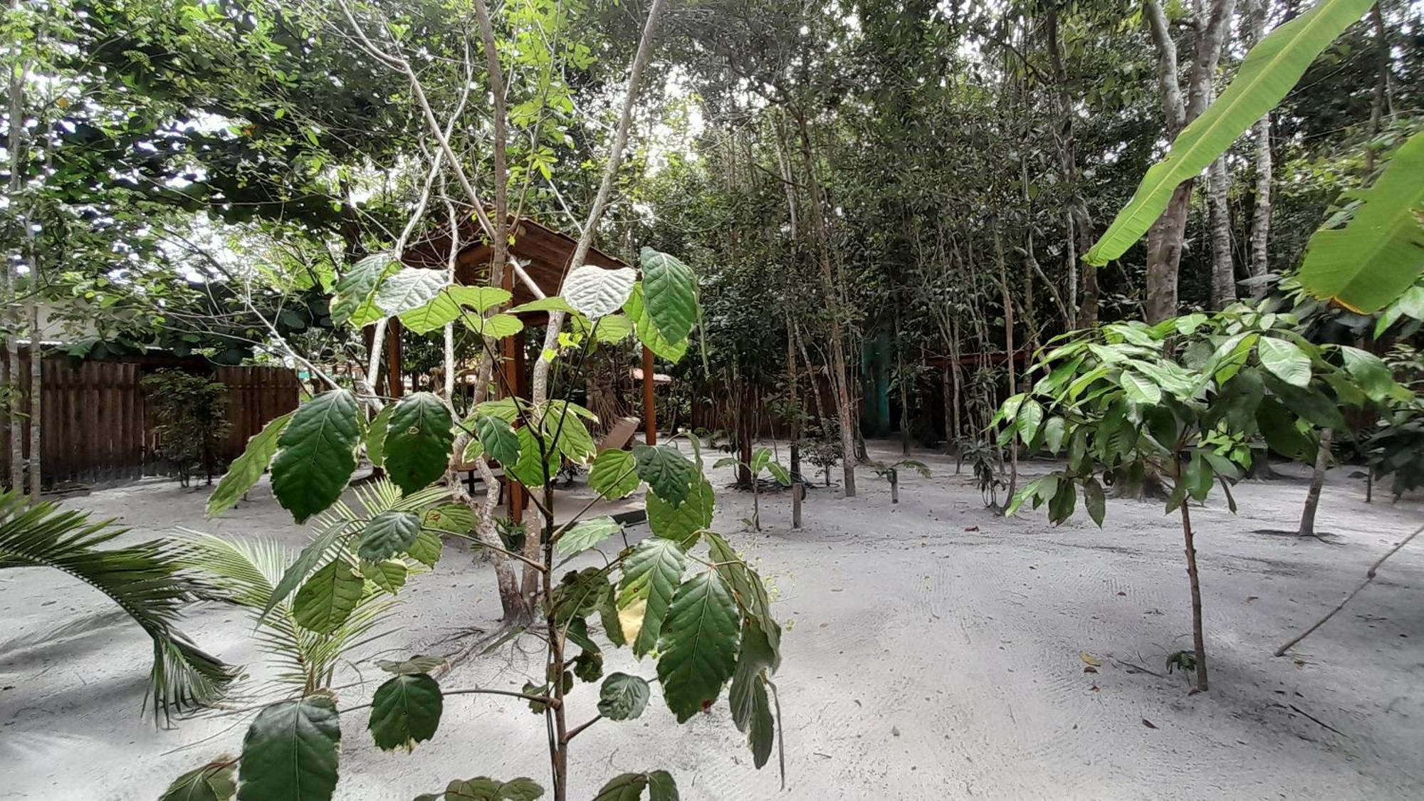 Chales Guigo-Cumuruxatiba, Sossego E Privacidade Exterior photo
