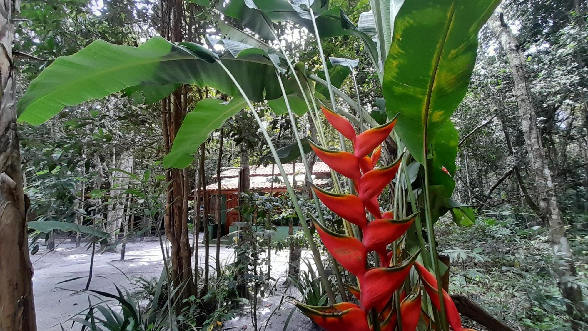 Chales Guigo-Cumuruxatiba, Sossego E Privacidade Exterior photo
